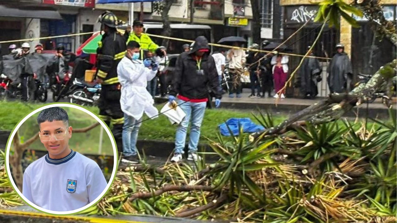 Tragedia en Popayán: Motociclista pierde la vida tras la caída de un árbol
