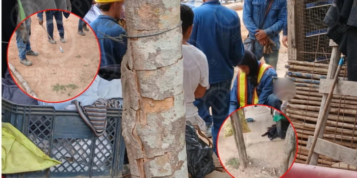 Video: Perrito salvó a dos mujeres de ataque con cuchillo en Girón. Lo mordió y lo hizo caer