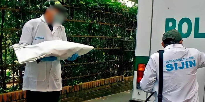 Perturbador: Encuentran feto enterrado en el patio de una vivienda