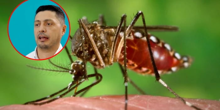 Se confirma caso de fiebre amarilla en Santander: paciente procedente de Arauca está bajo vigilancia