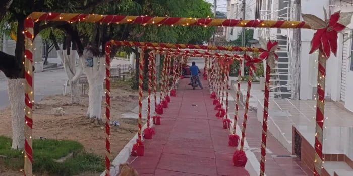 Vigilante informal fue asesinado al tratar de impedir robo de luces navideñas