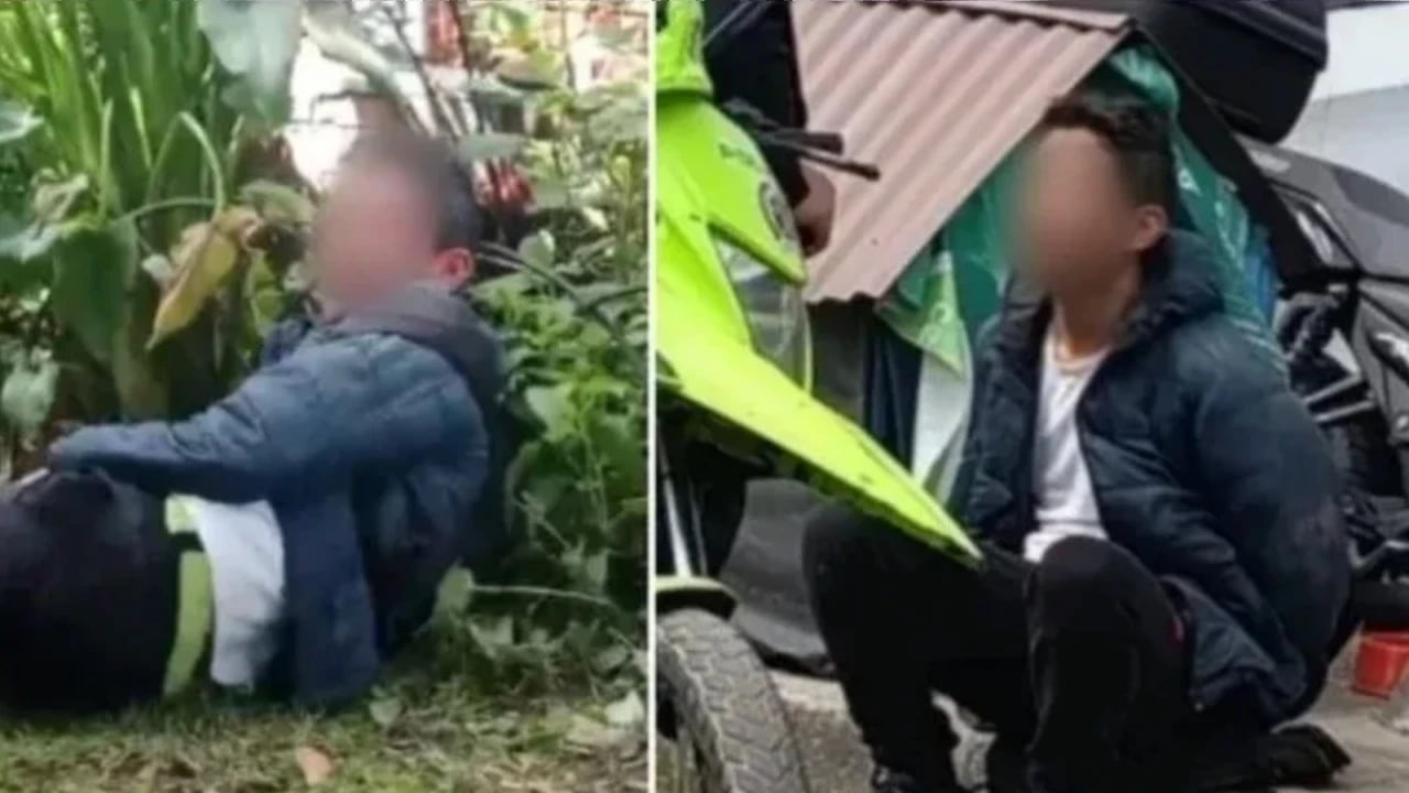 Hombre acusado de hurto aseguró identificarse como “therian-rata”