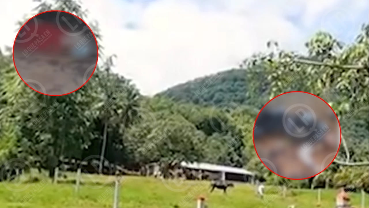 VIDEO: Doble homicidio en zona rural de Santander genera incertidumbre, Autoridades investigan.