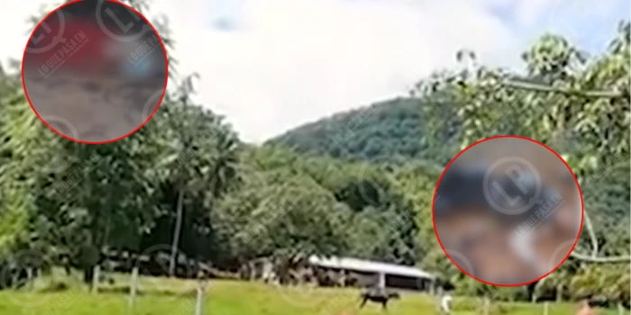 VIDEO: Doble homicidio en zona rural de Santander genera incertidumbre, Autoridades investigan.