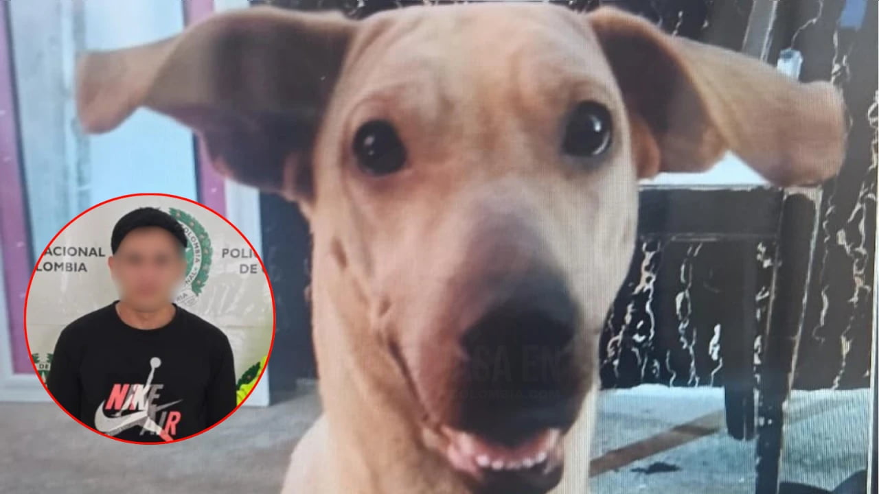 Ordenan envío a prisión de hombre señalado de causar la muerte Kira.