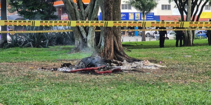 Macabro hallazgo: Encuentran cuerpo calcinado atado a un árbol en vía pública