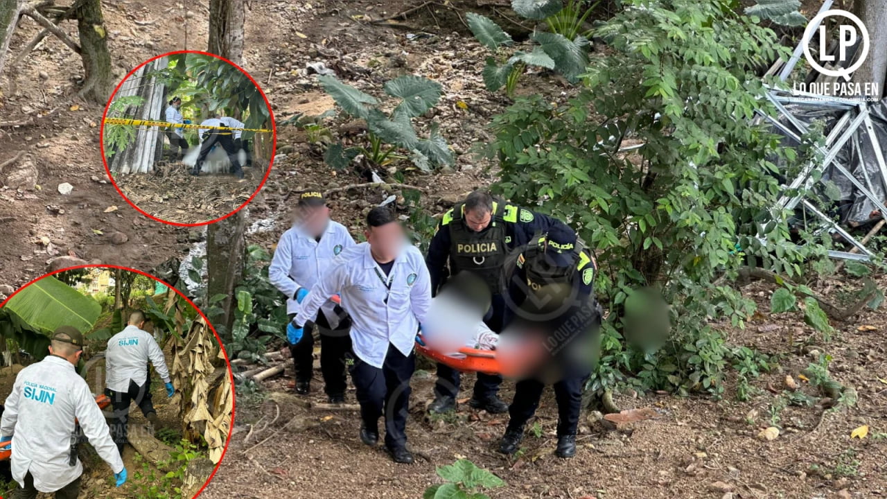 De un disparo en la cabeza asesinaron a un hombre en zona boscosa del Kennedy