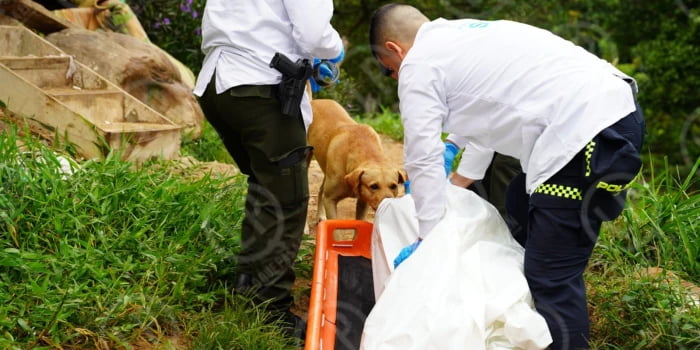 Su mirada lo dice todo: La otra cara del dolor en Floridablanca: el perrito que no quiso dejar solo a su amo