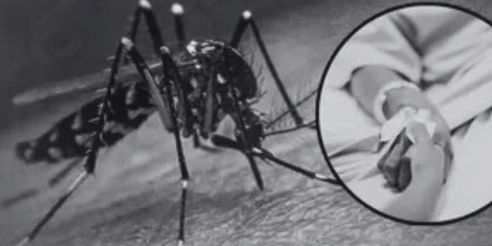 Dolor en Floridablanca: niña de 10 años murió al parecer a causa de dengue