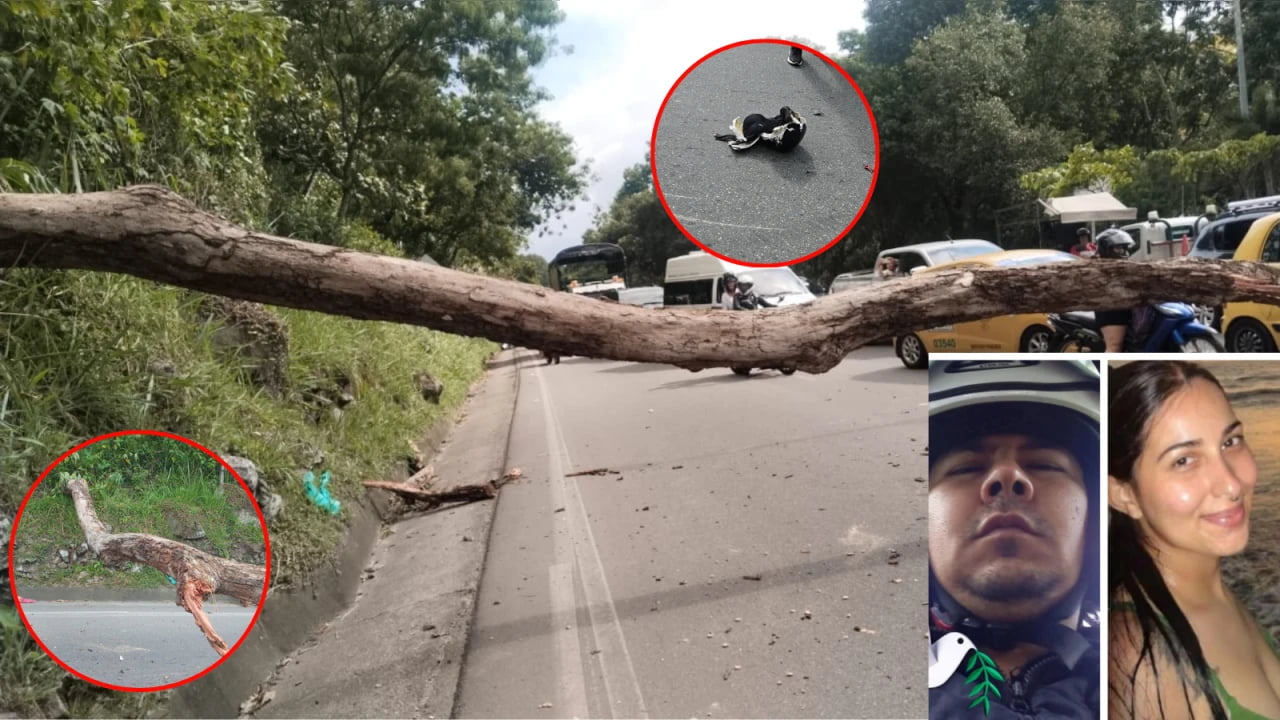 Un viaje que nunca imaginaron que sería el último: Jaime y Yuri murieron tras caída de un árbol en Piedecuesta