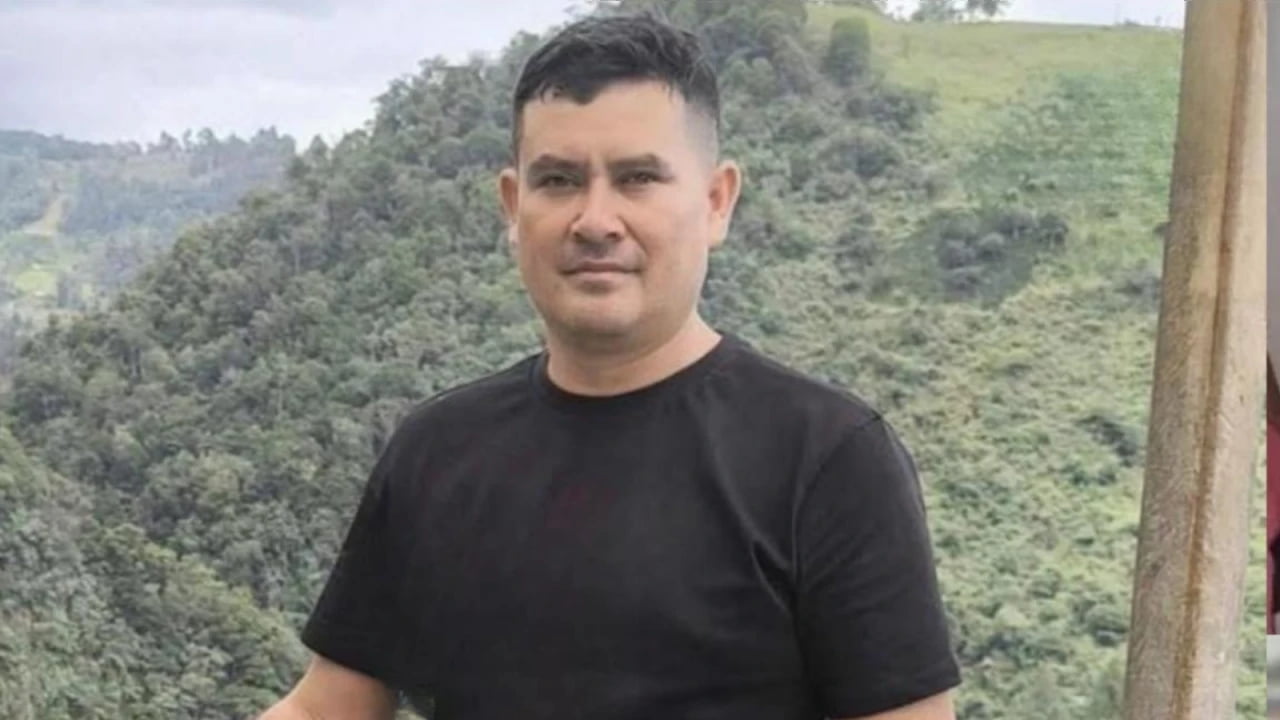 Hombre murió luego de que un árbol en tala le cayera encima.