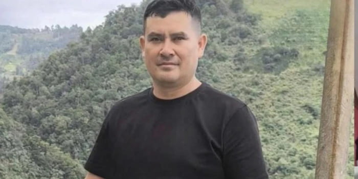 Hombre murió luego de que un árbol en tala le cayera encima.