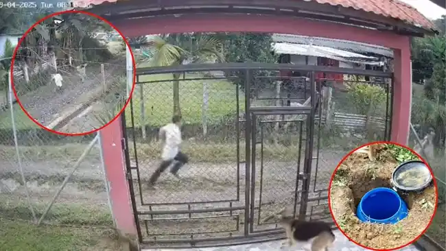 Video: Pastor fue capturado por abusar de su hijastra de 13 años, comunidad lo busco hasta encontrarlo
