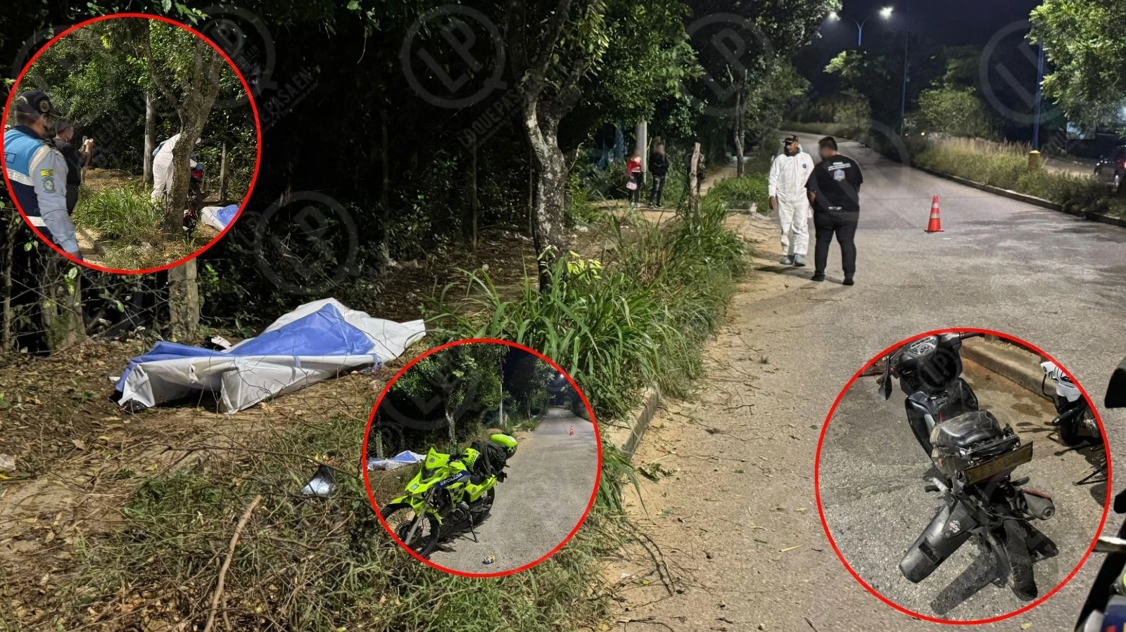 Diego, el motociclista que murió al estrellarse contra un árbol bajando la 45.